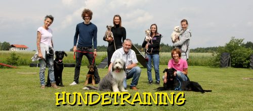 Die Pfotenprofis Hundetraining