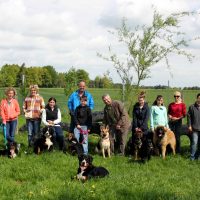 Hundetreffen