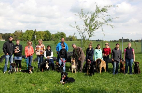 Hundetreffen