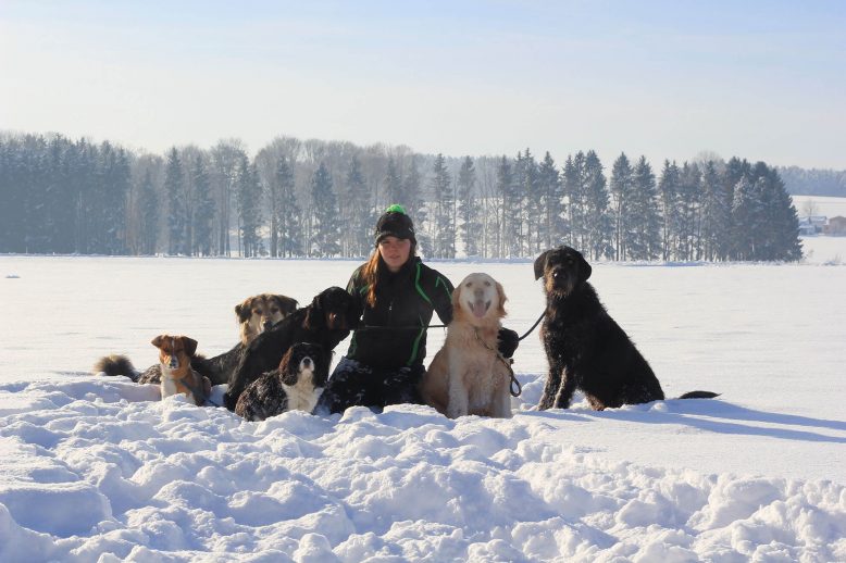 Caro Tierpension Winter