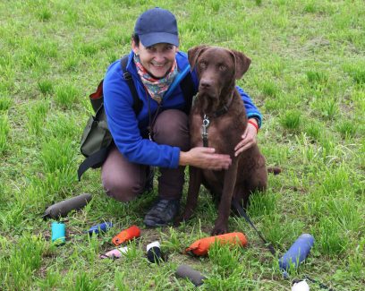 Dummytraining Banner