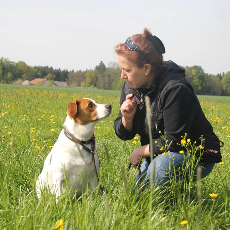Einzeltraining Benni