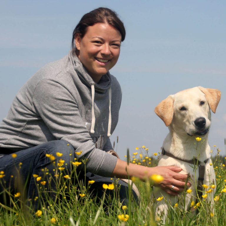 Einzeltraining Sammy