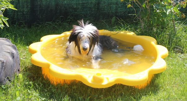 Erstgespräch Banner