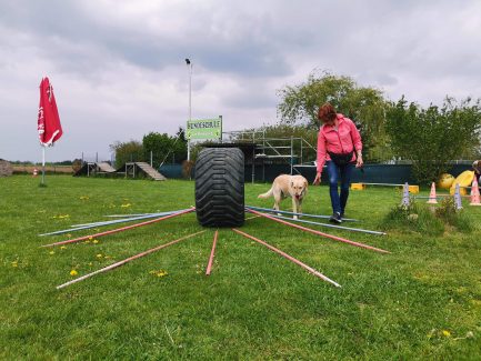 Gallerie Cavaletti Kreis
