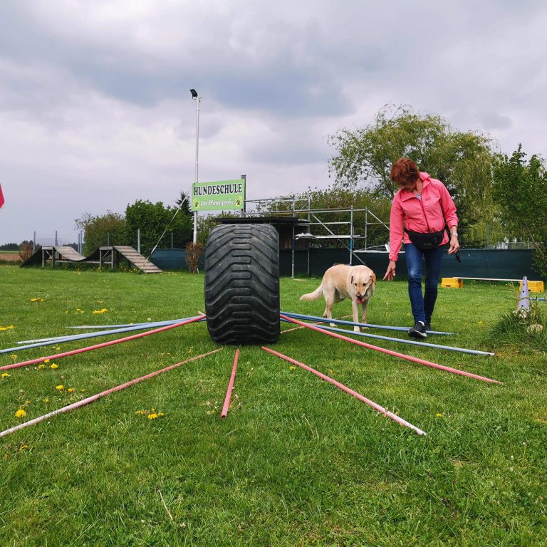Gallerie Cavaletti Kreis