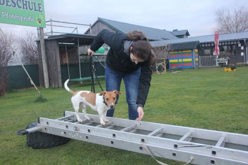 Gallerie Leiter Ballance