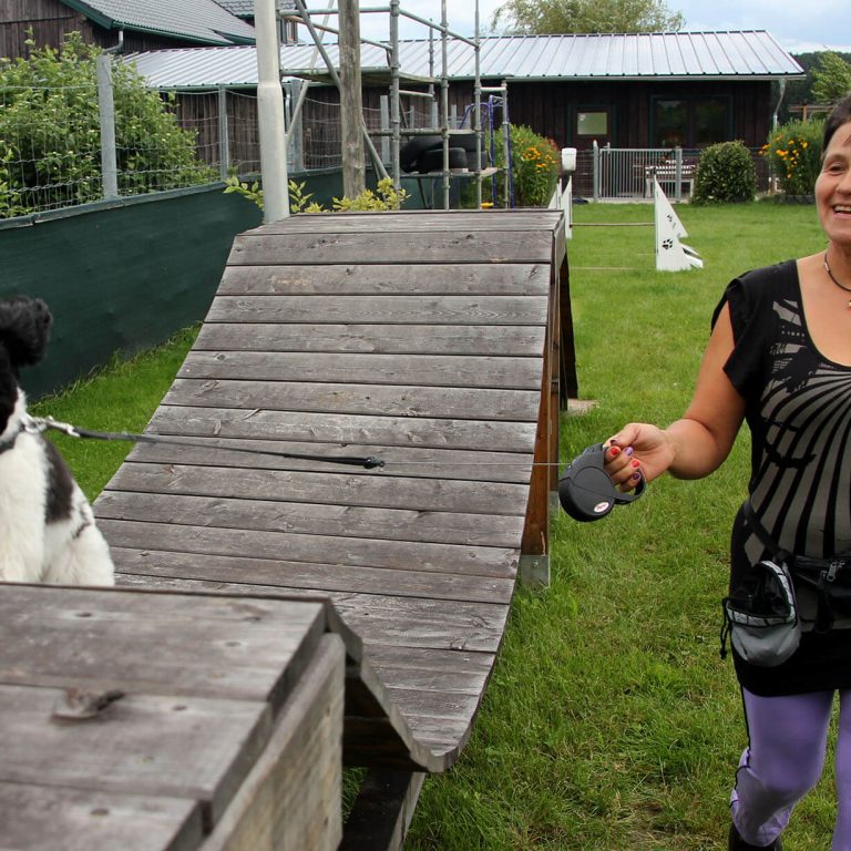 Gallerie Wackelbrücke