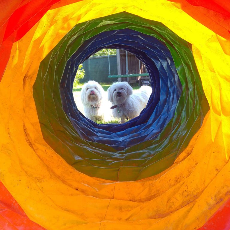 Gallierie Tunnenblick