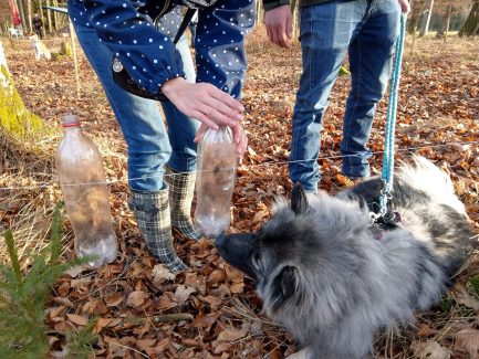 Hundenasen Flaschendrehen