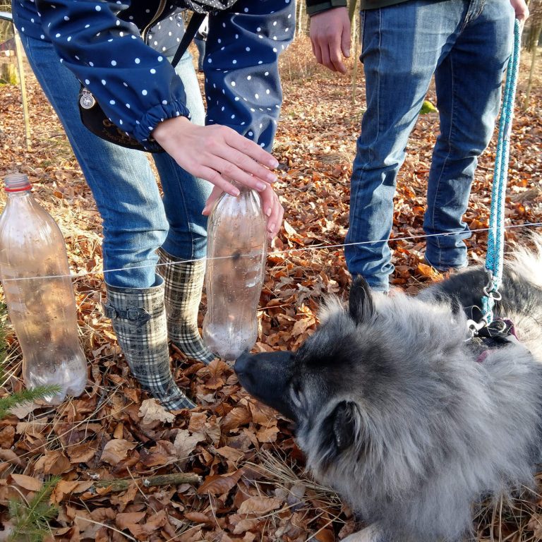Hundenasen Flaschendrehen