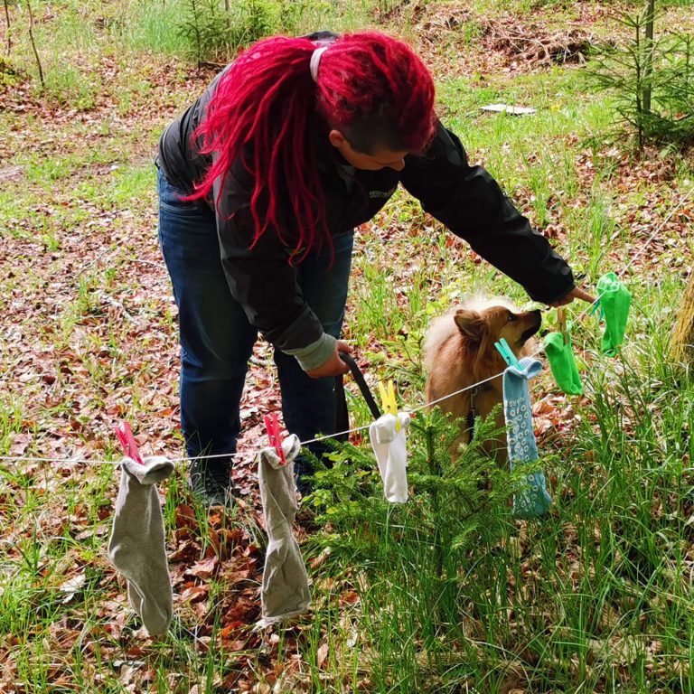 Hundenasen Sockenspiel