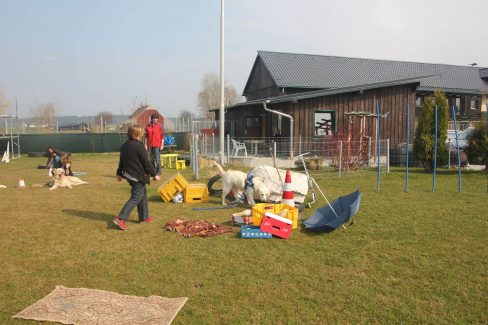 Hundenasen Trümmerhaufen