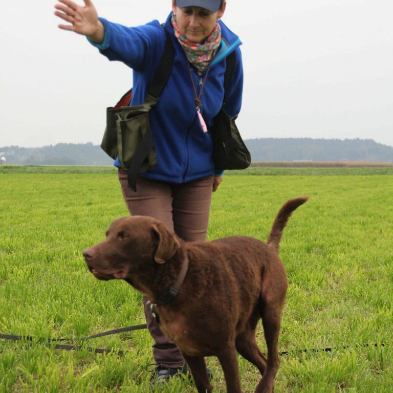 Hundesport