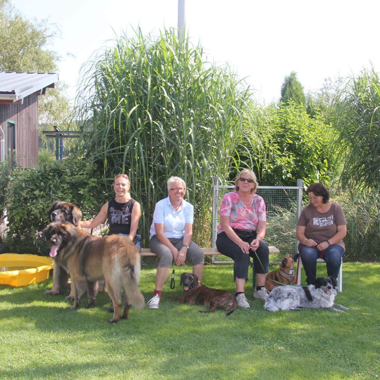 Hundetreffen Basiskurs