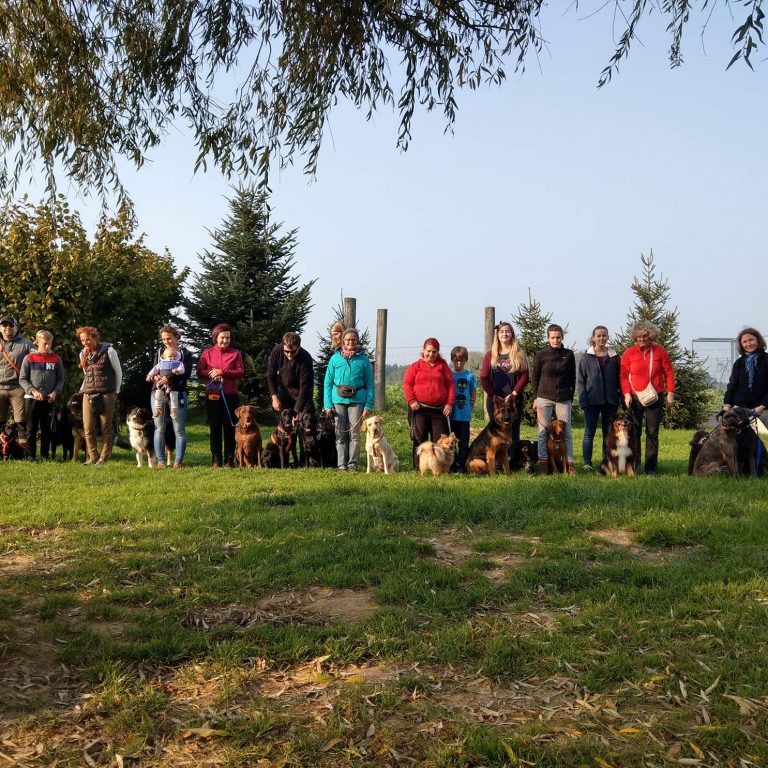 Hundetreffen Frühling
