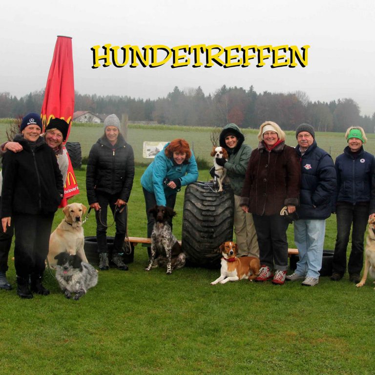 Hundetreffen Gruppe