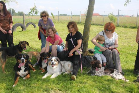 Hundetreffen Sommer