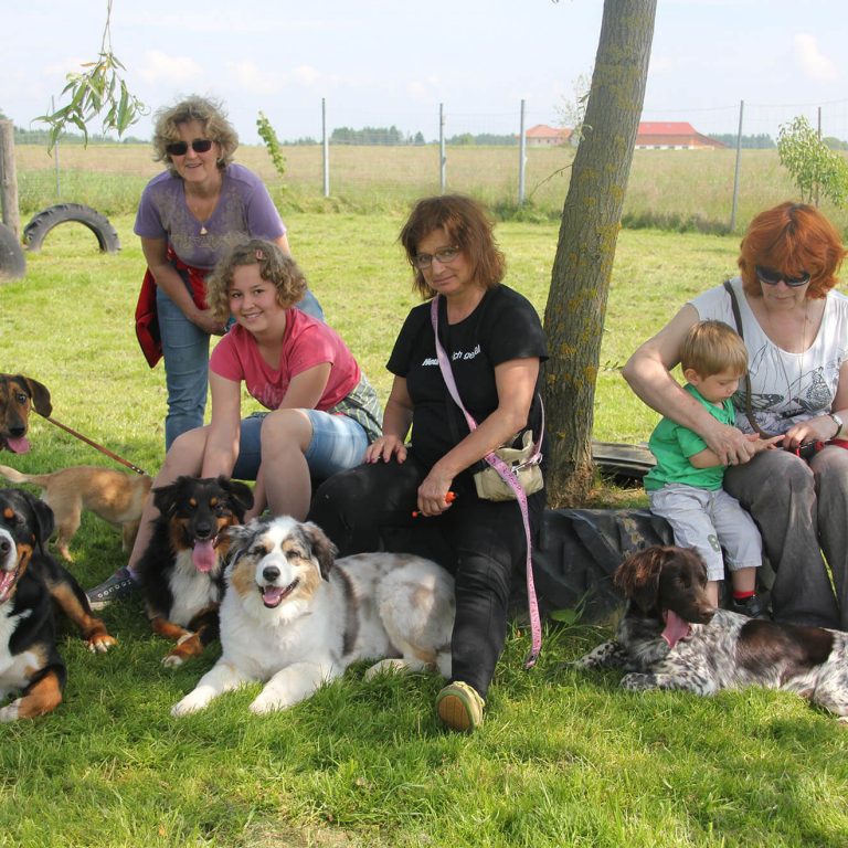 Hundetreffen Sommer