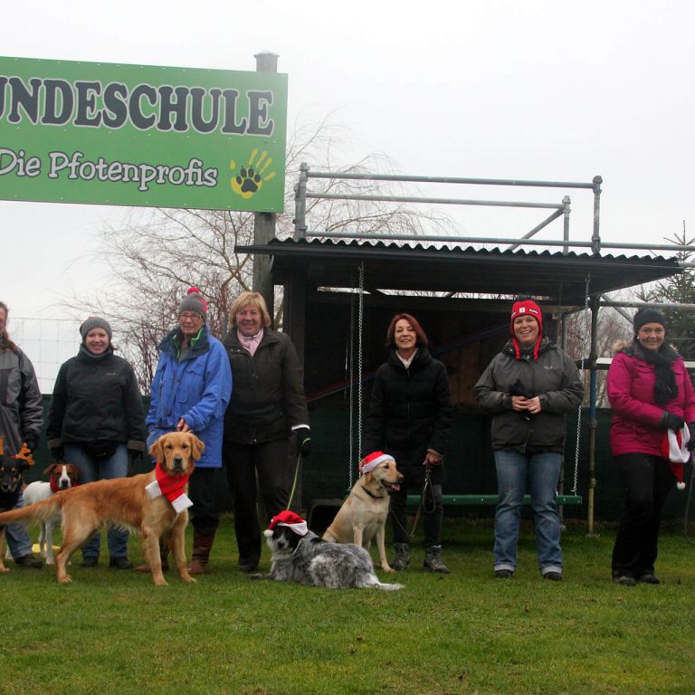 Hundetreffen Weihnachten