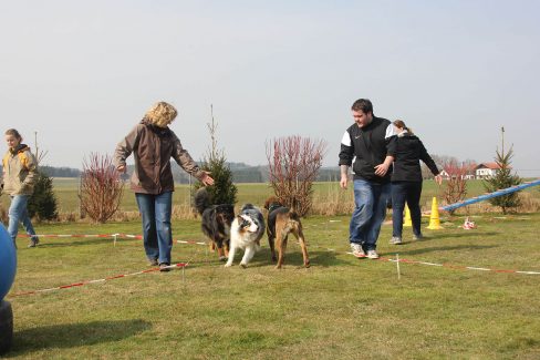 Longieren Begegnungen