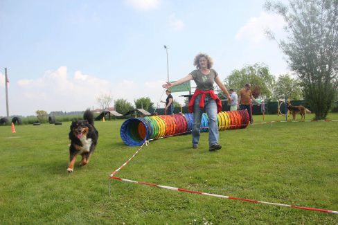 Longieren Distanzaufbau
