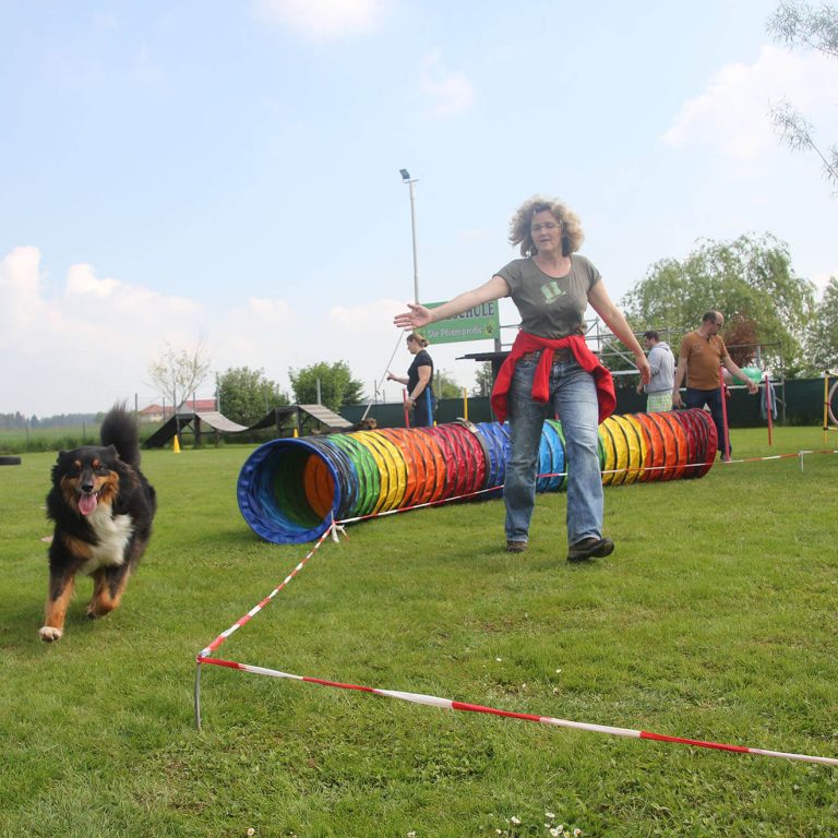 Longieren Distanzaufbau