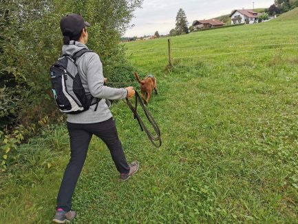 Mantrailing Dreamteam