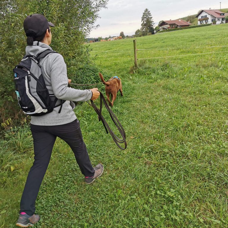 Mantrailing Dreamteam