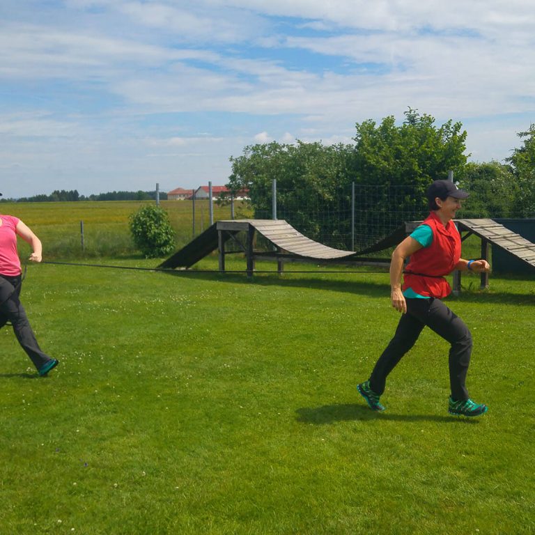 Mantrailing Leinenhandling