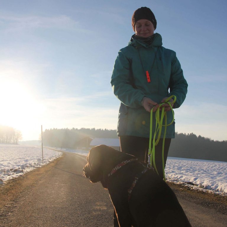 Mantrailing Sonnenuntergang