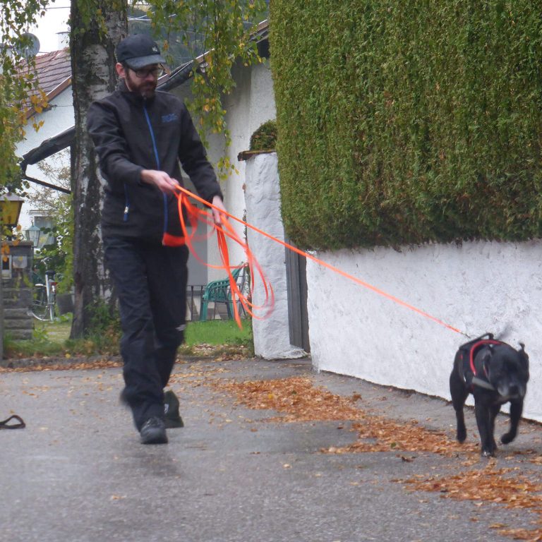 Mantrailing Uttendorf