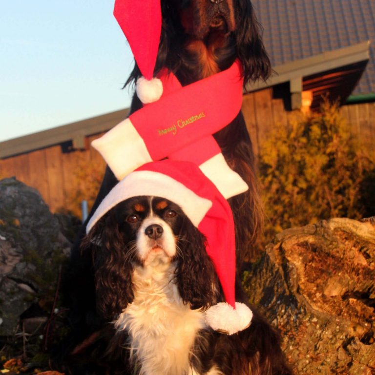 Pepper Weihnachten