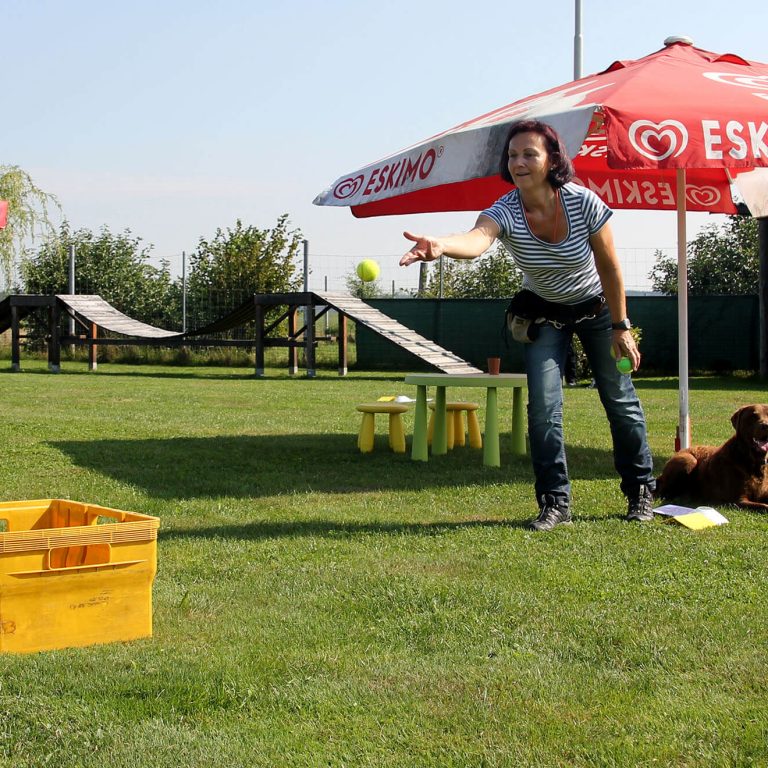 Spiel und Spaß Impulskontrolle