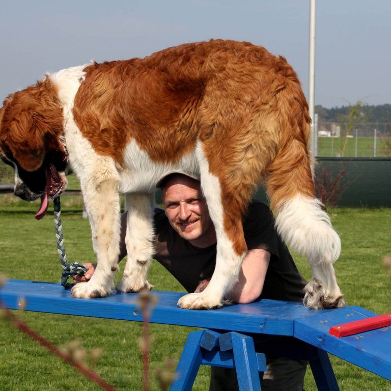 Spiel und Spaß Kuckuck