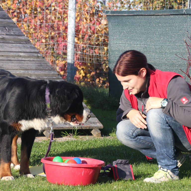 Spiel und Spaß Leckerliesuche