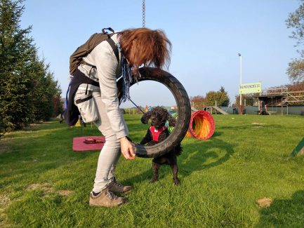 Spiel und Spaß Reifen