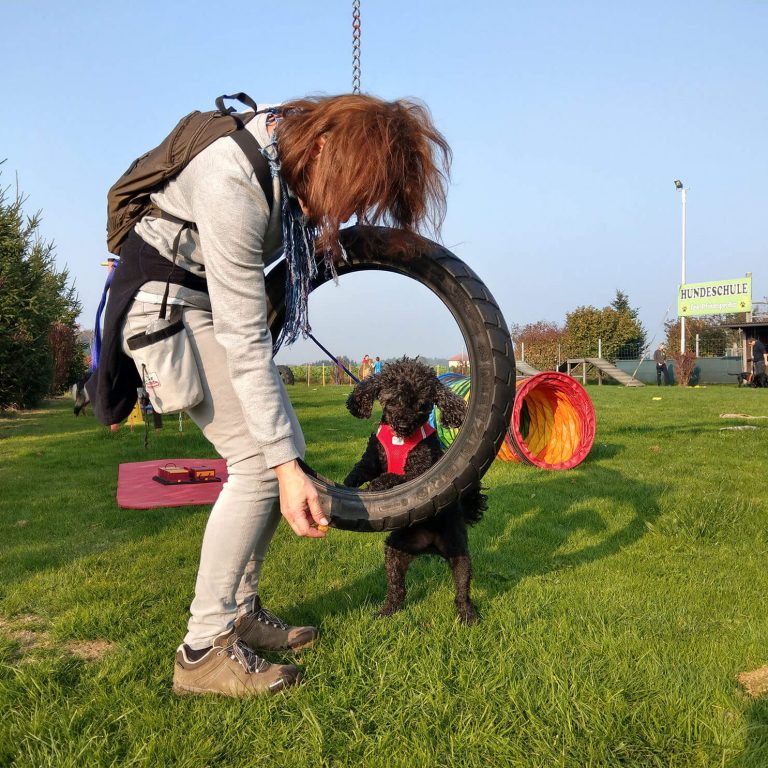 Spiel und Spaß Reifen