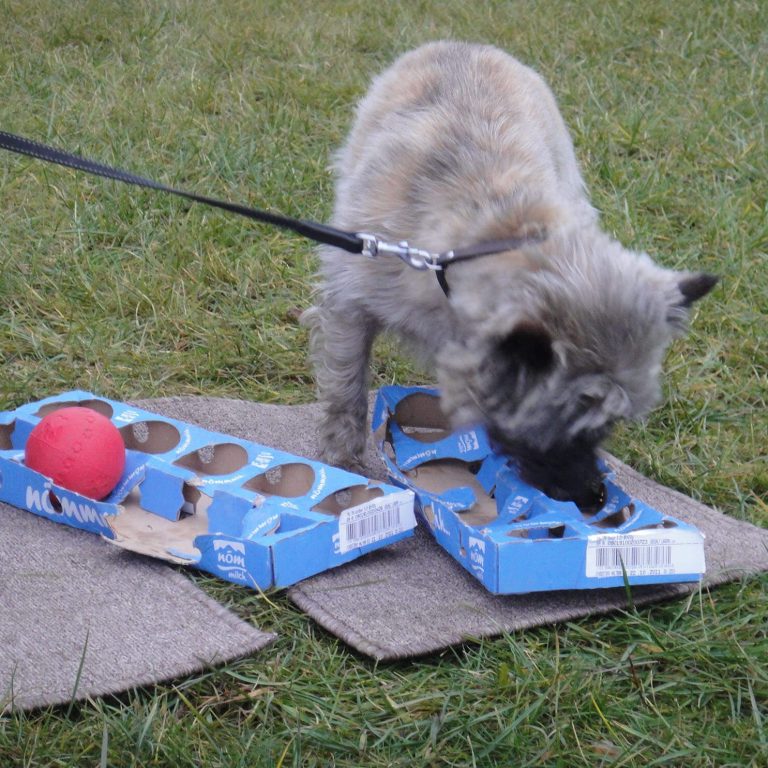 Spiel und Spaß Suchspiele