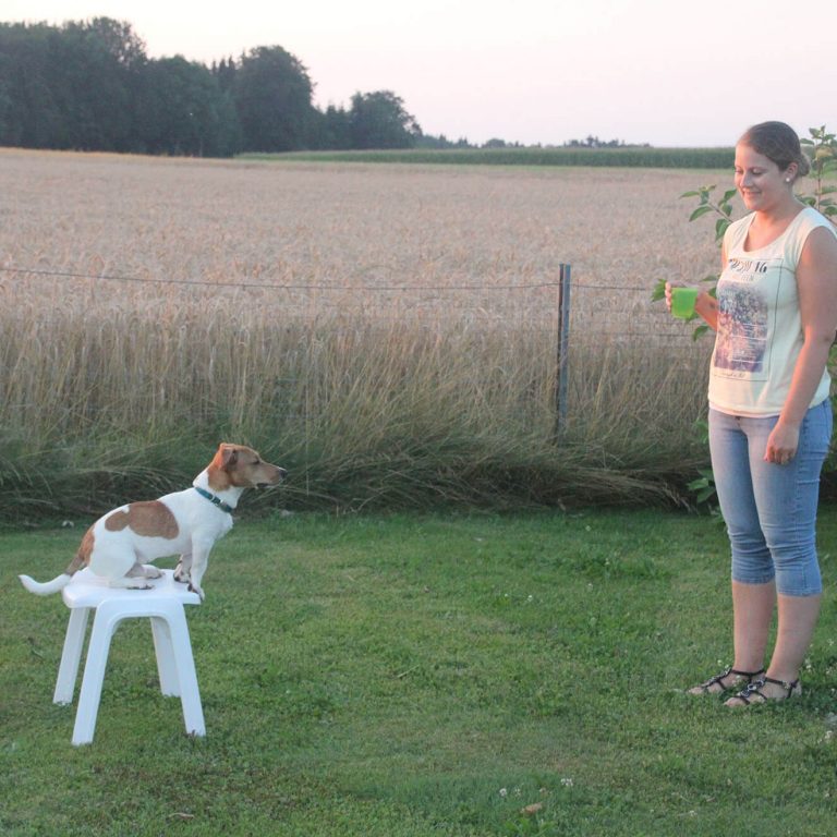 Spiel und Spaß Vertrauen