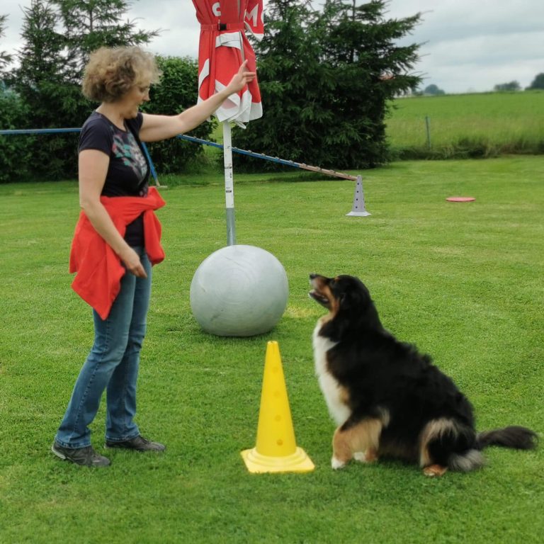 Treibball Anker