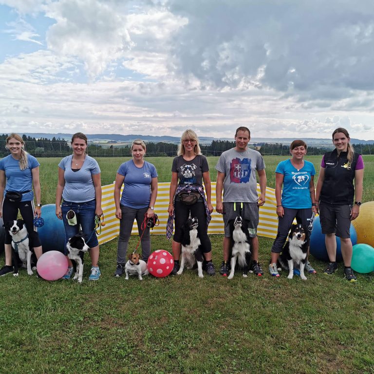 Treibball Seminar