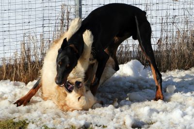 Verhaltenstherapie 1