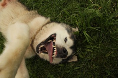 Verhaltenstherapie 3