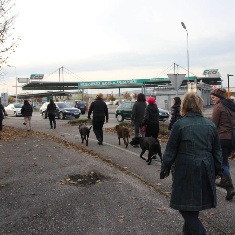 Wanderungen Kreisverkehr