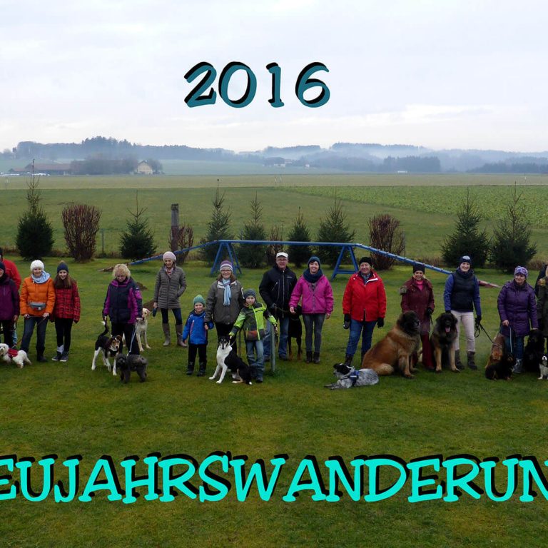 Wanderungen Neujahrswanderung