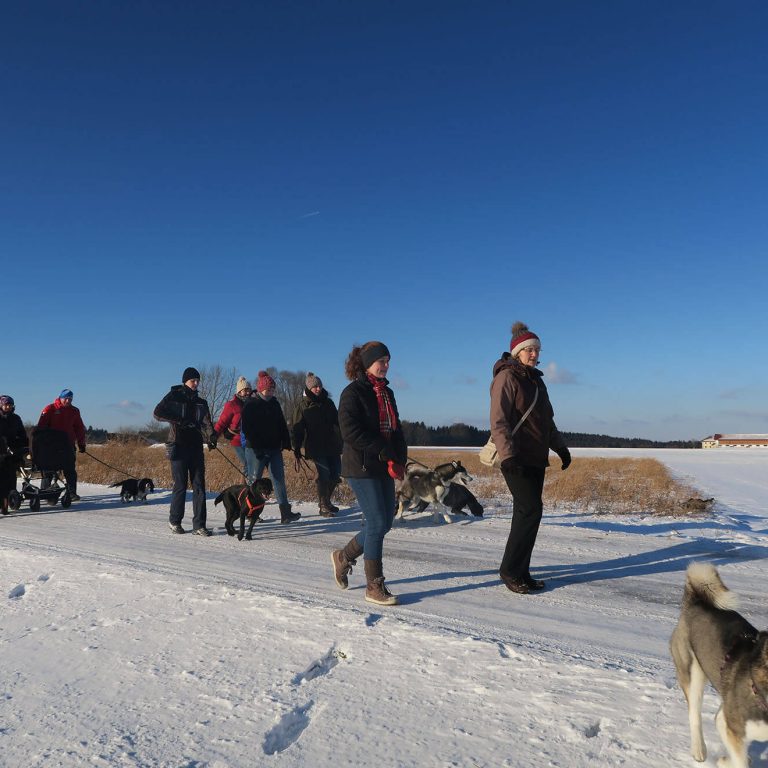 Wanderungen Schnee