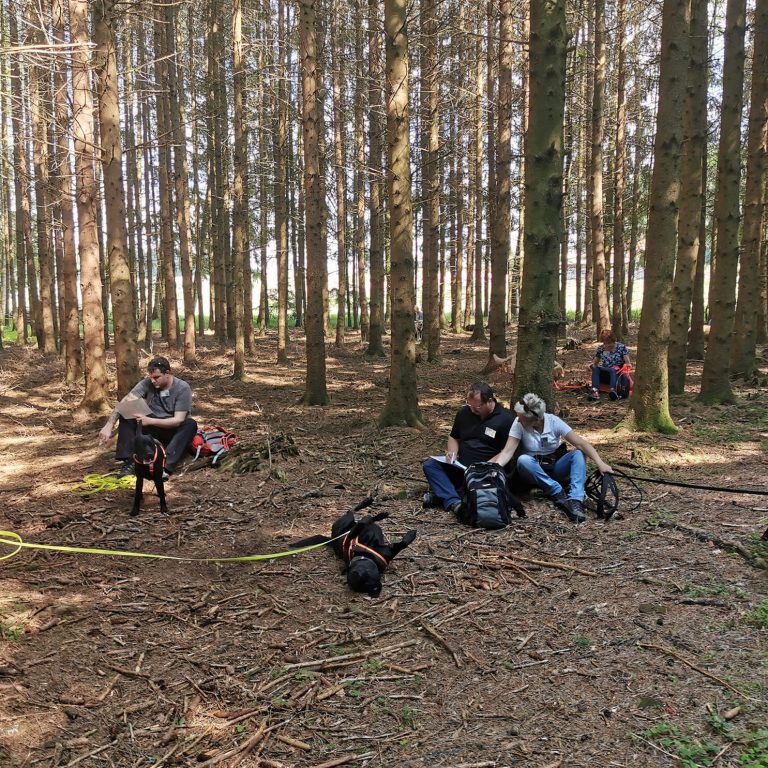 Wanderungen Waldpause