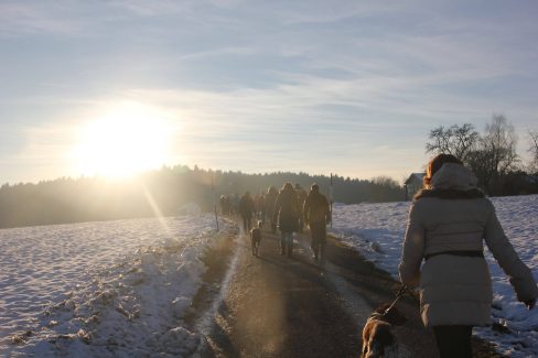 Wanderungen Winterlandschaft