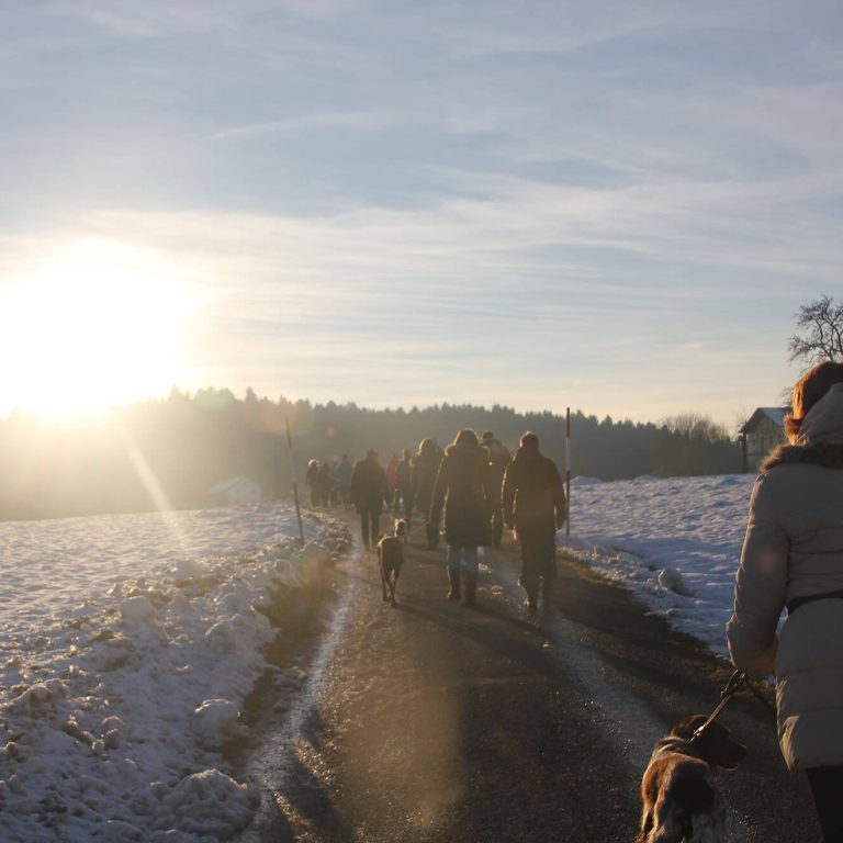 Wanderungen Winterlandschaft